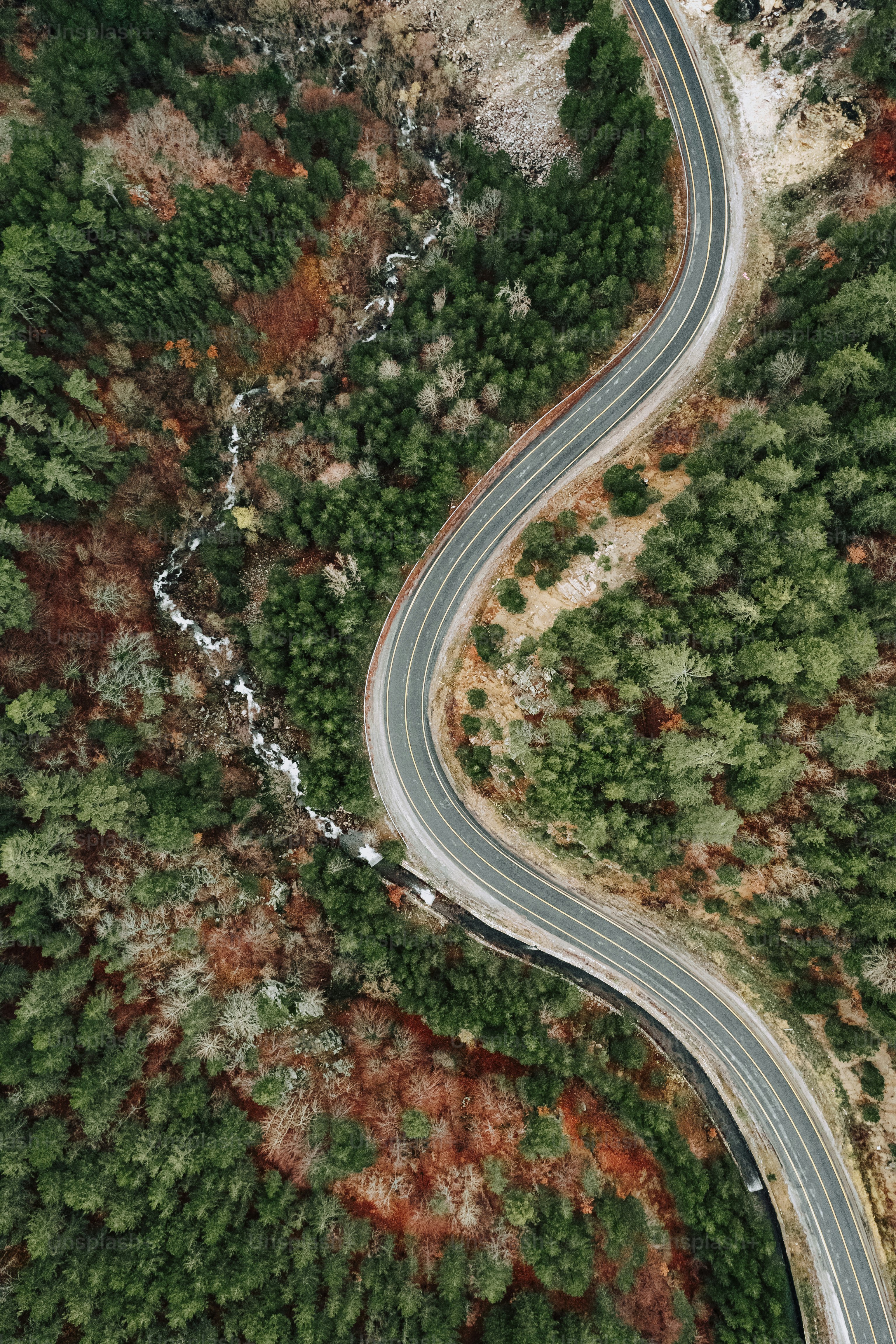 a winding road in the middle of a forest