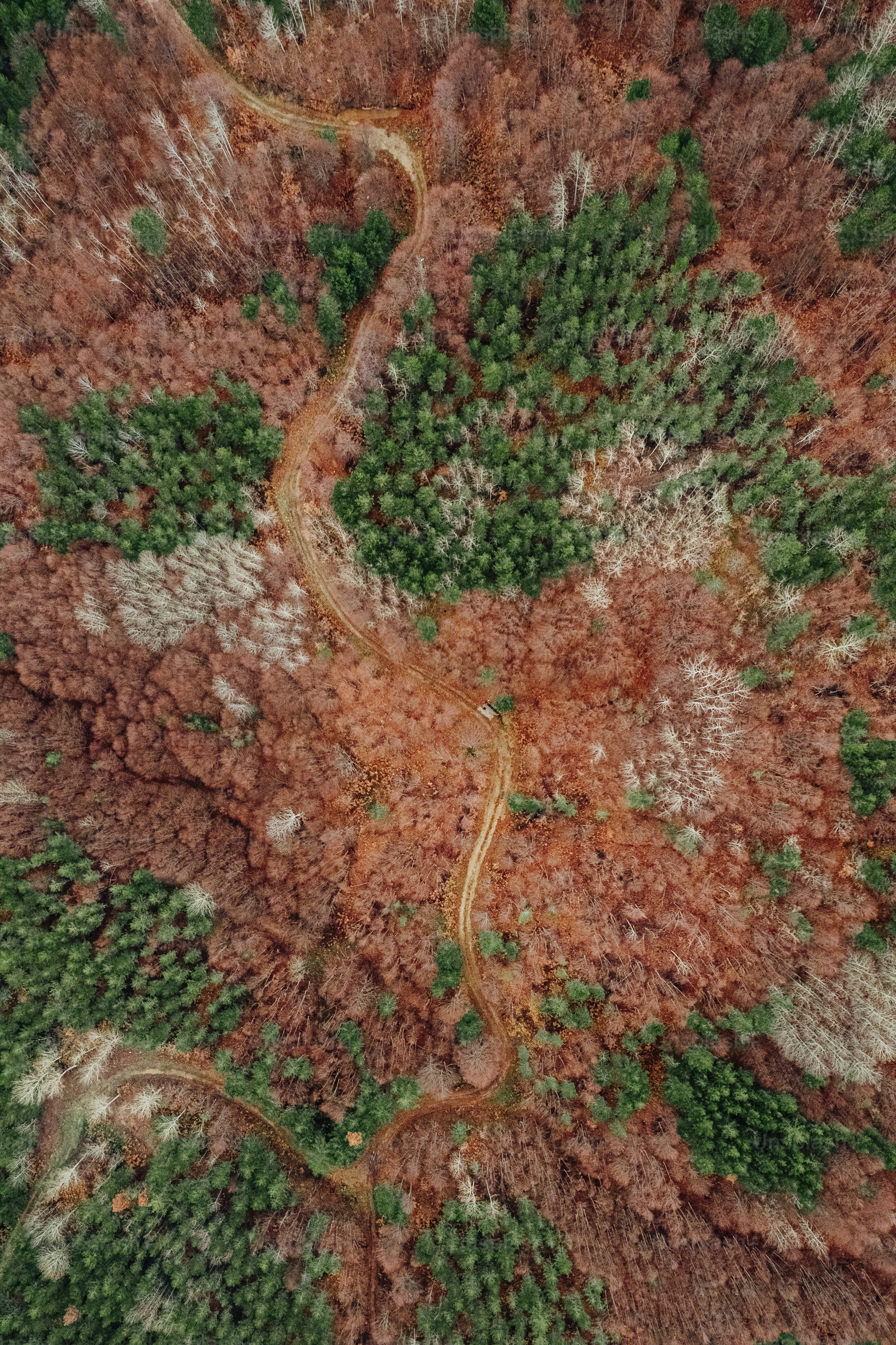 an aerial view of a road winding through a forest