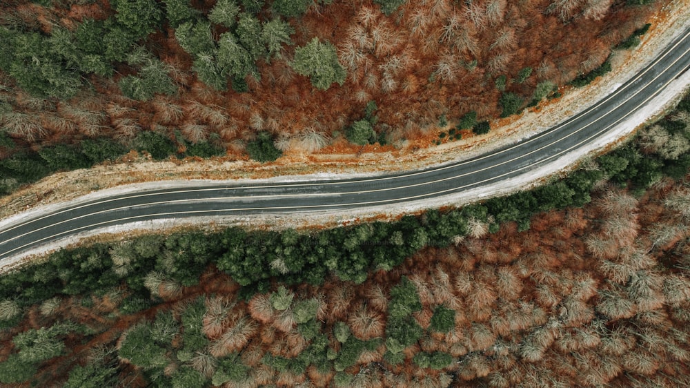 an aerial view of a road surrounded by trees