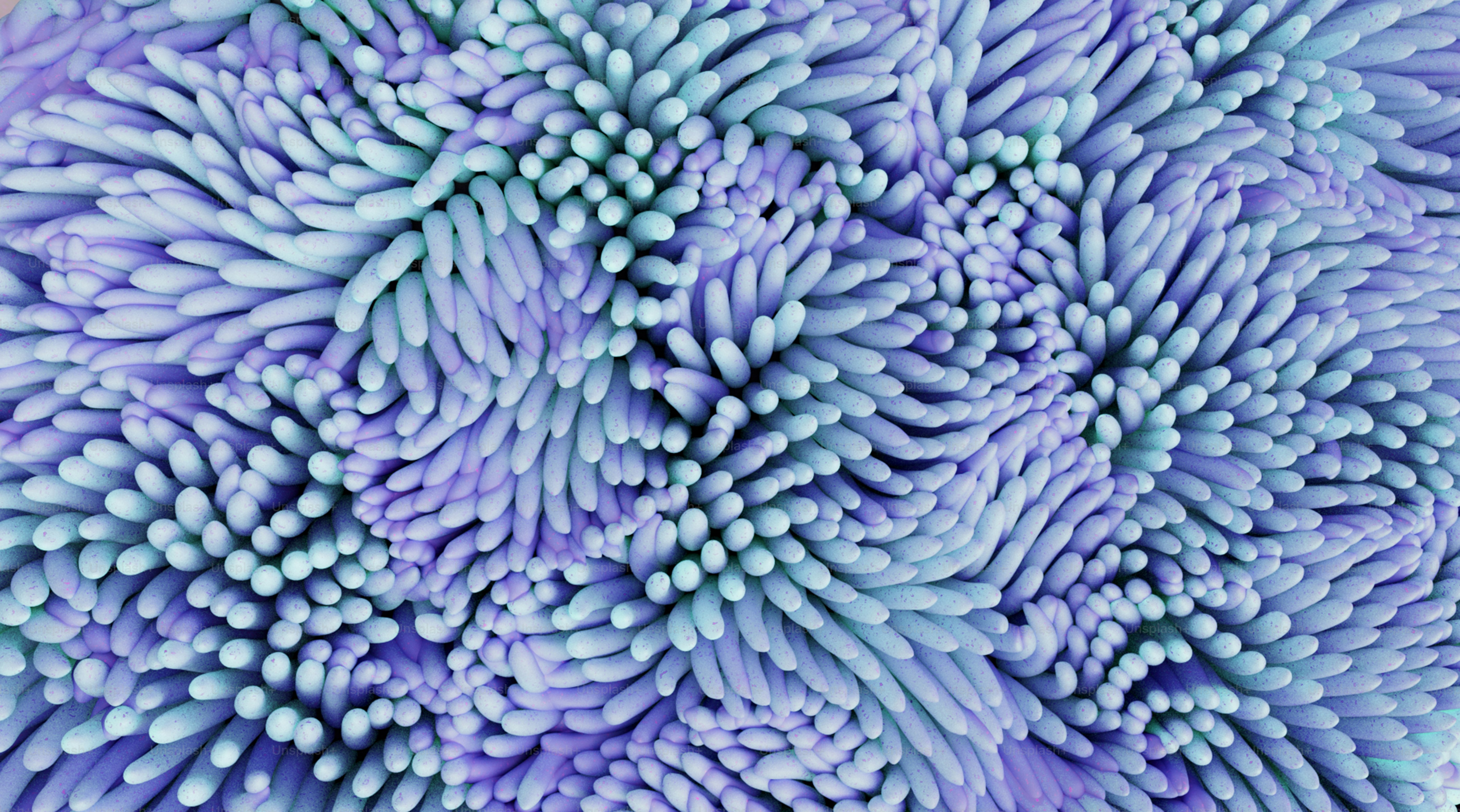 a close up view of a purple flower