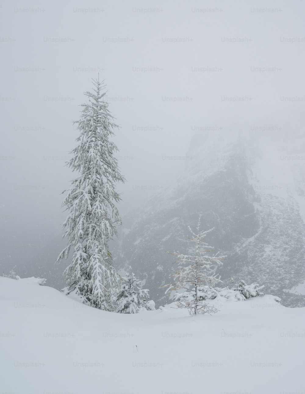 una persona sugli sci in piedi nella neve