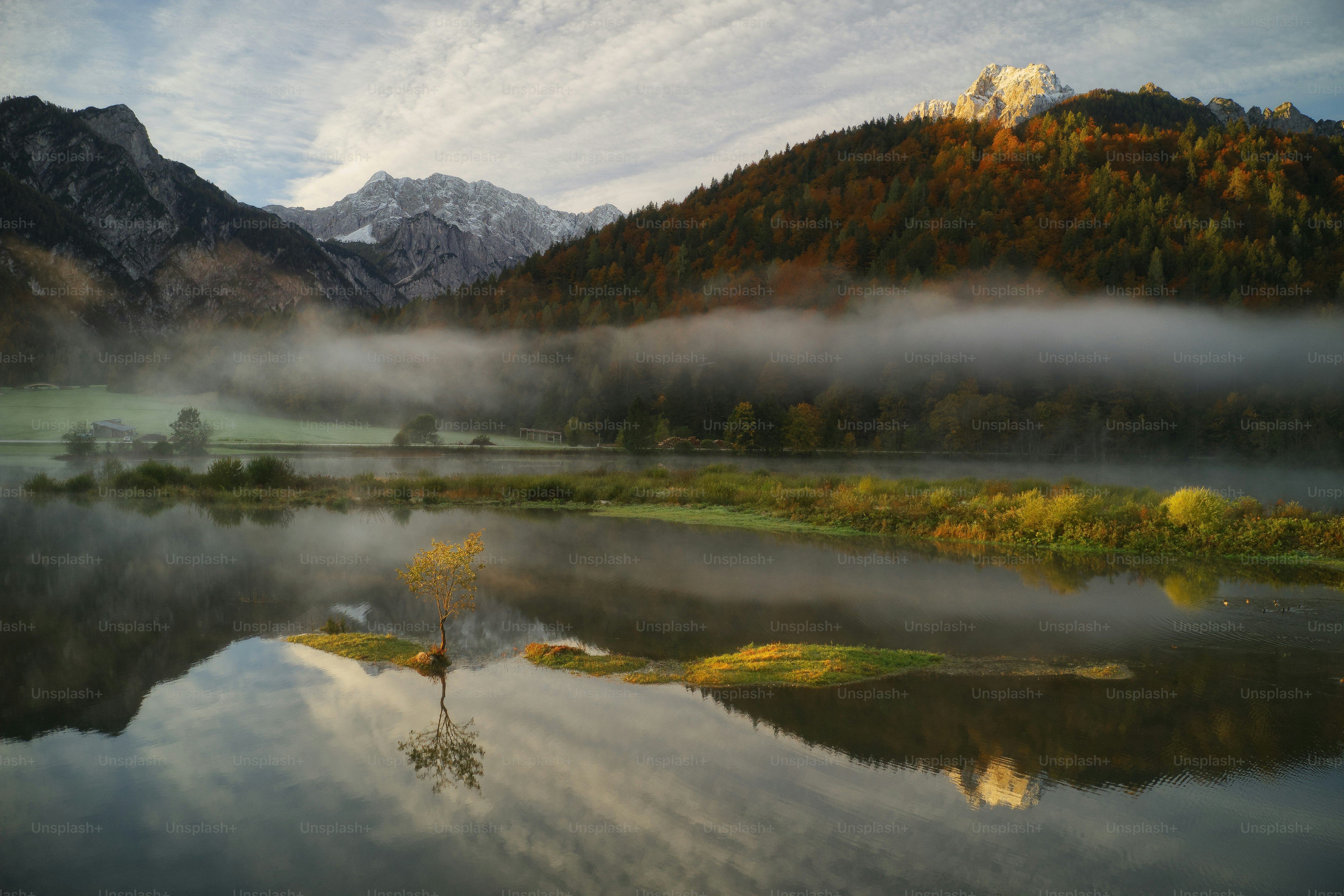 a body of water surrounded by mountains and trees