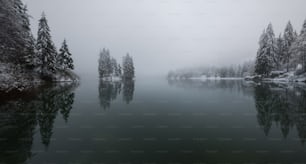 a body of water surrounded by snow covered trees