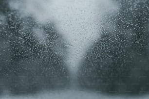 rain drops on a window with trees in the background