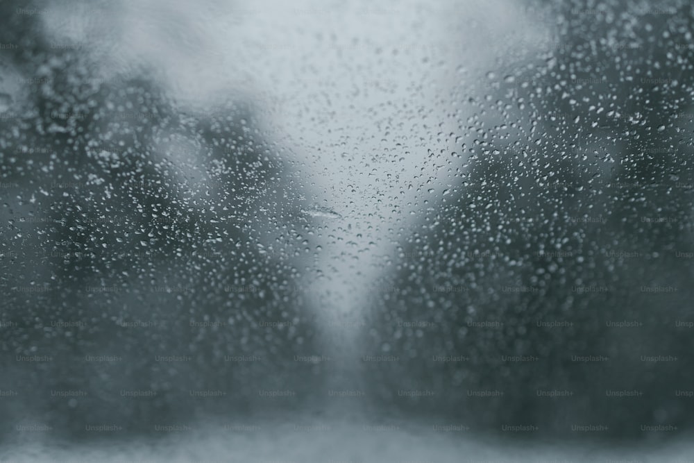 gotas de chuva em uma janela com �árvores no fundo