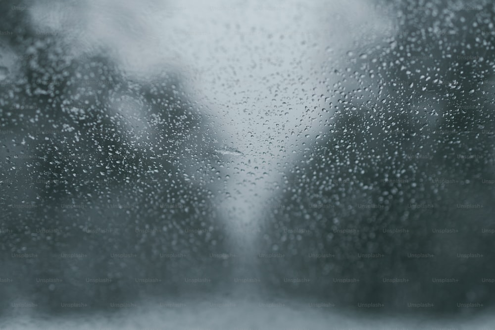 Gotas de lluvia en una ventana con árboles en el fondo