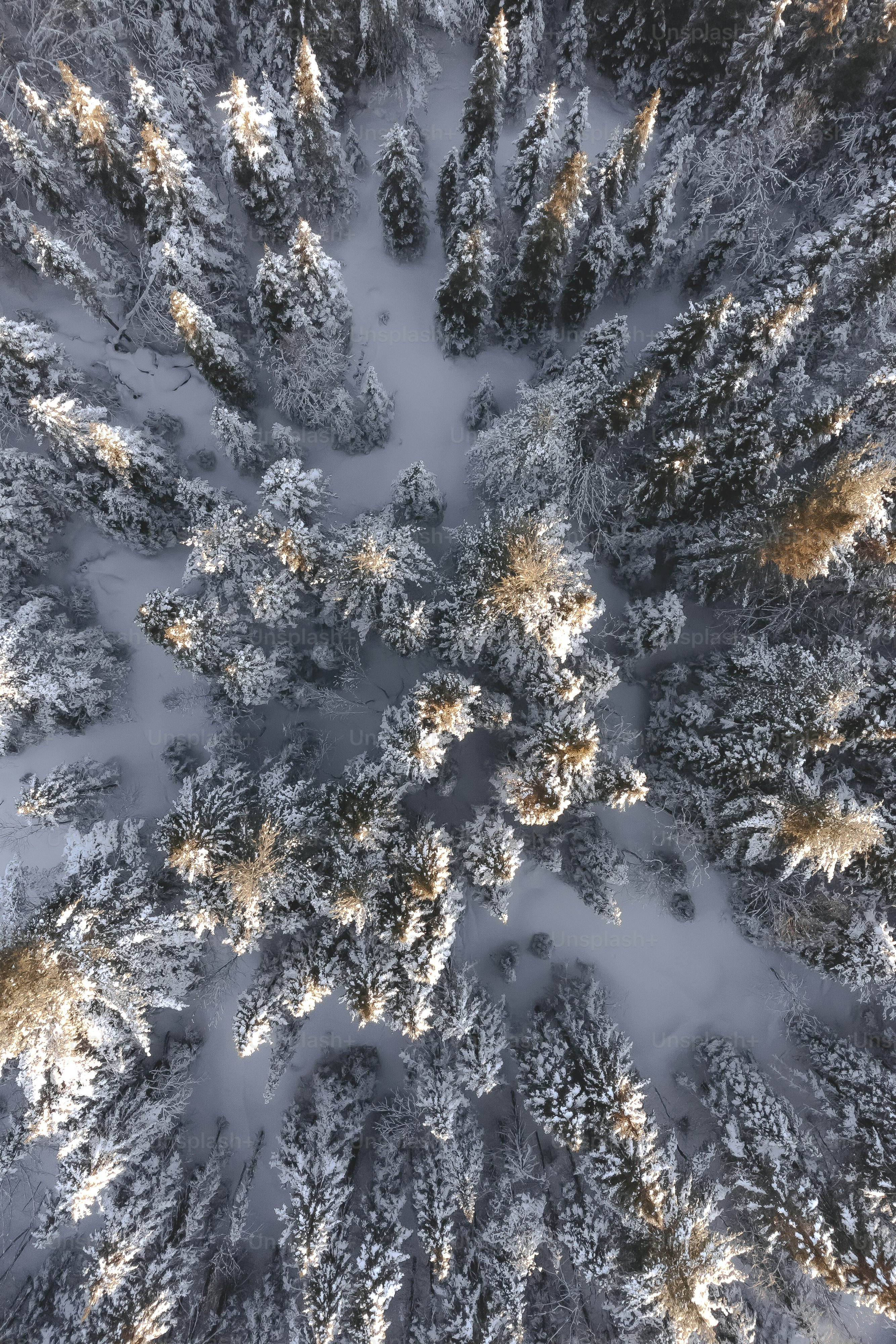 an aerial view of a snow covered forest