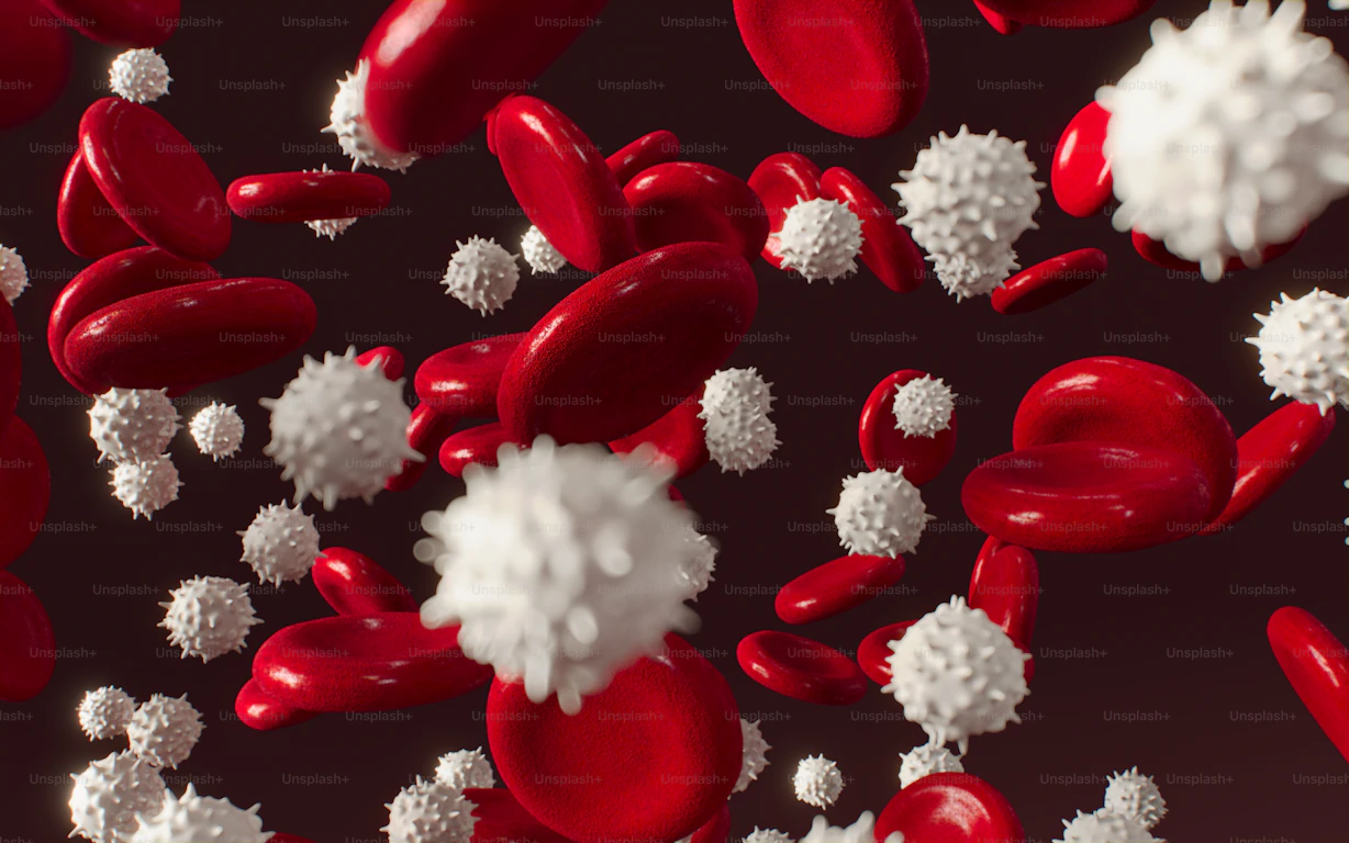 Blood Studies