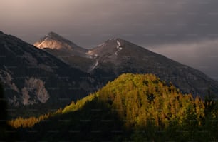 a view of a mountain range with trees in the foreground