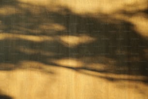 uma imagem borrada de um skate em uma superfície de madeira