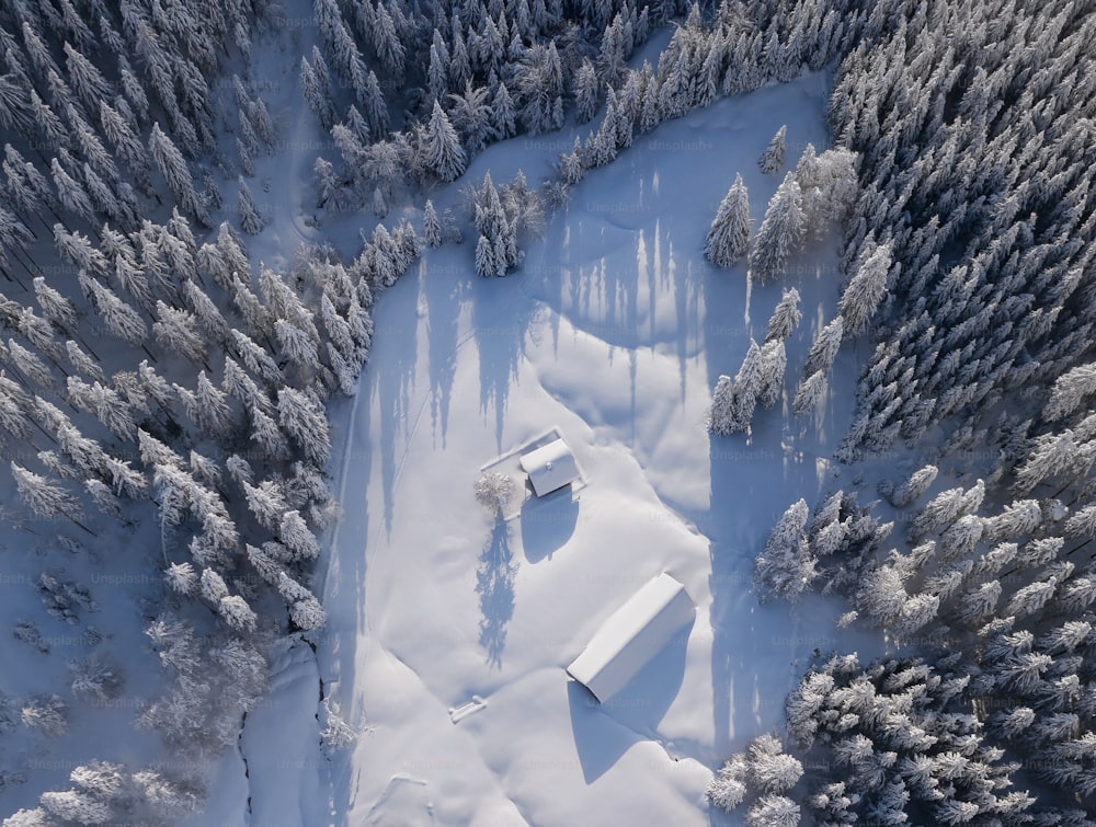 an aerial view of a snow covered forest