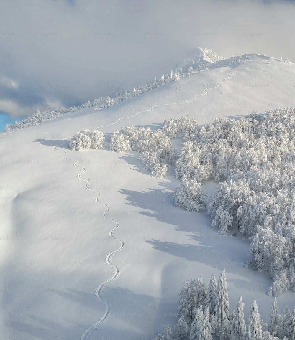 uma montanha coberta de neve com trilhas na neve