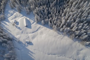 an aerial view of a snow covered forest