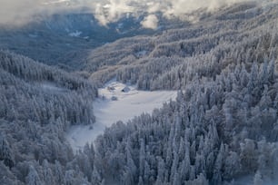 an aerial view of a snow covered forest