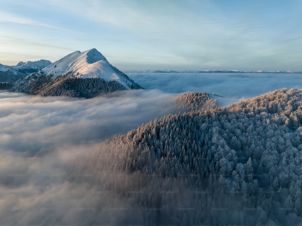 雪に覆われ、雲に囲まれた山