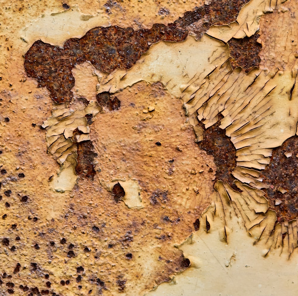 a close up of a rusted metal surface