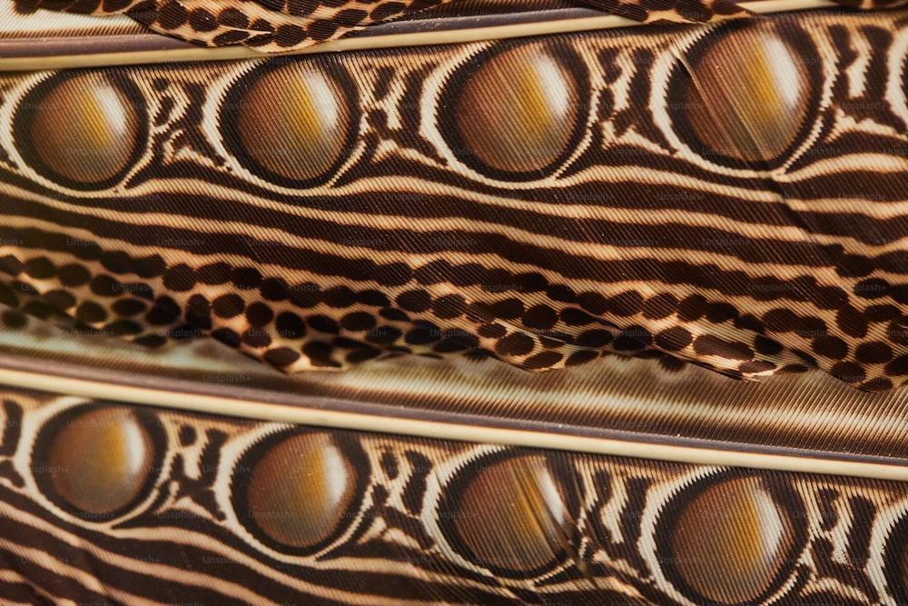 a close up of a pattern of feathers