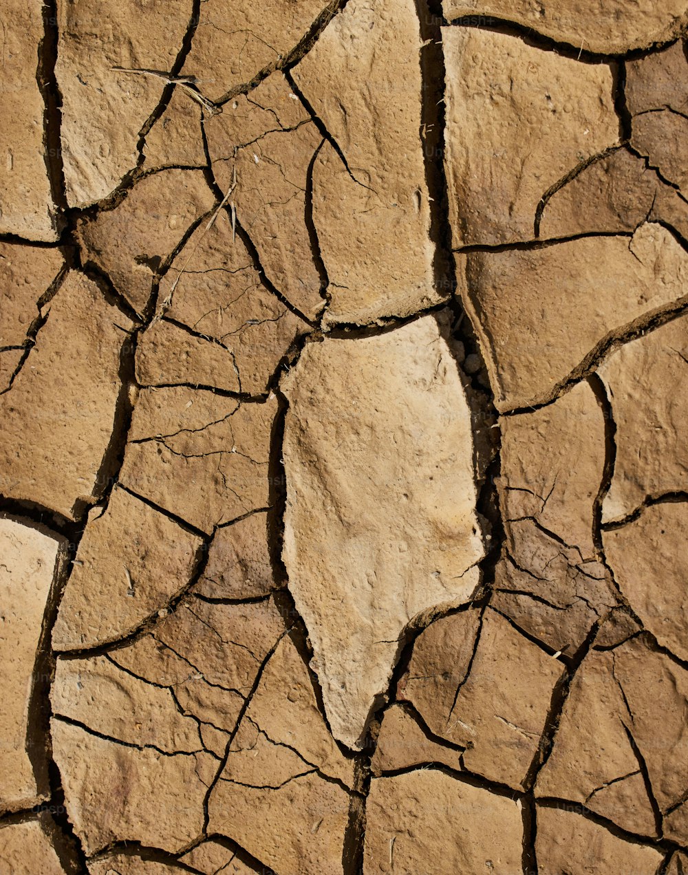 un gros plan d’une paroi rocheuse avec des fissures