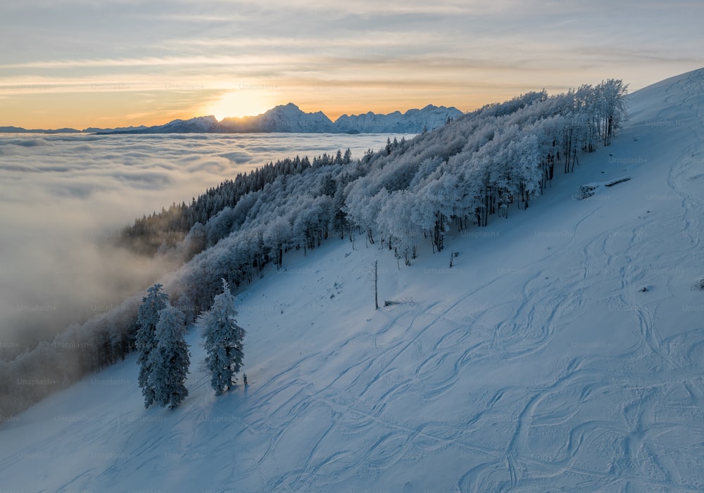 雪と木々に覆われたスキー場