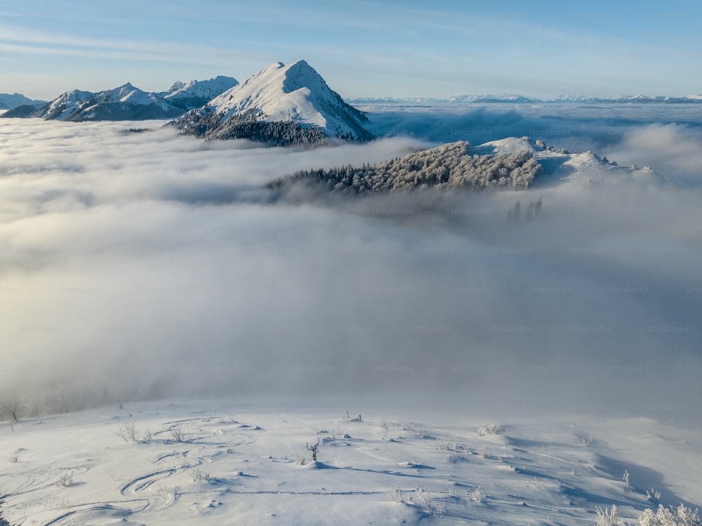 uma vista de uma montanha coberta de neve