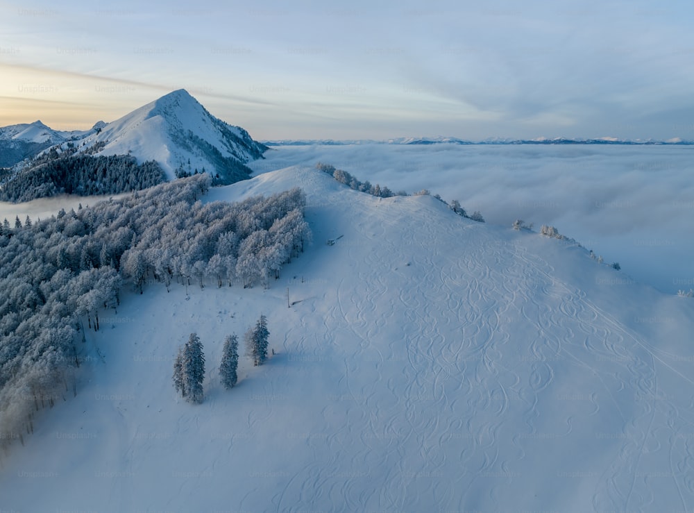 une montagne couverte de neige avec des arbres au premier plan