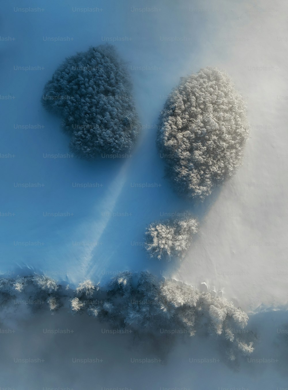 Eine Luftaufnahme von Bäumen im Schnee