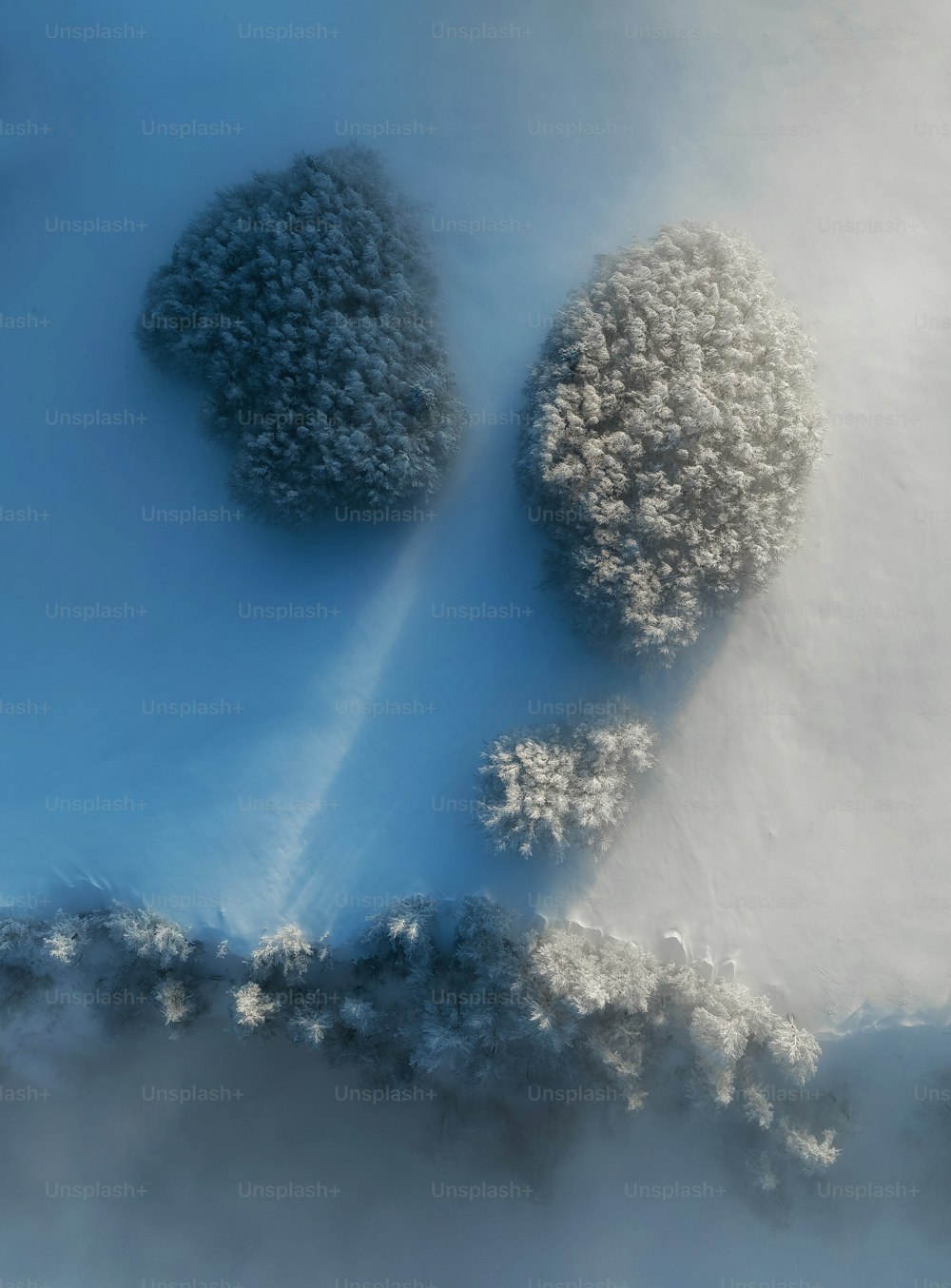 une vue aérienne d’arbres dans la neige