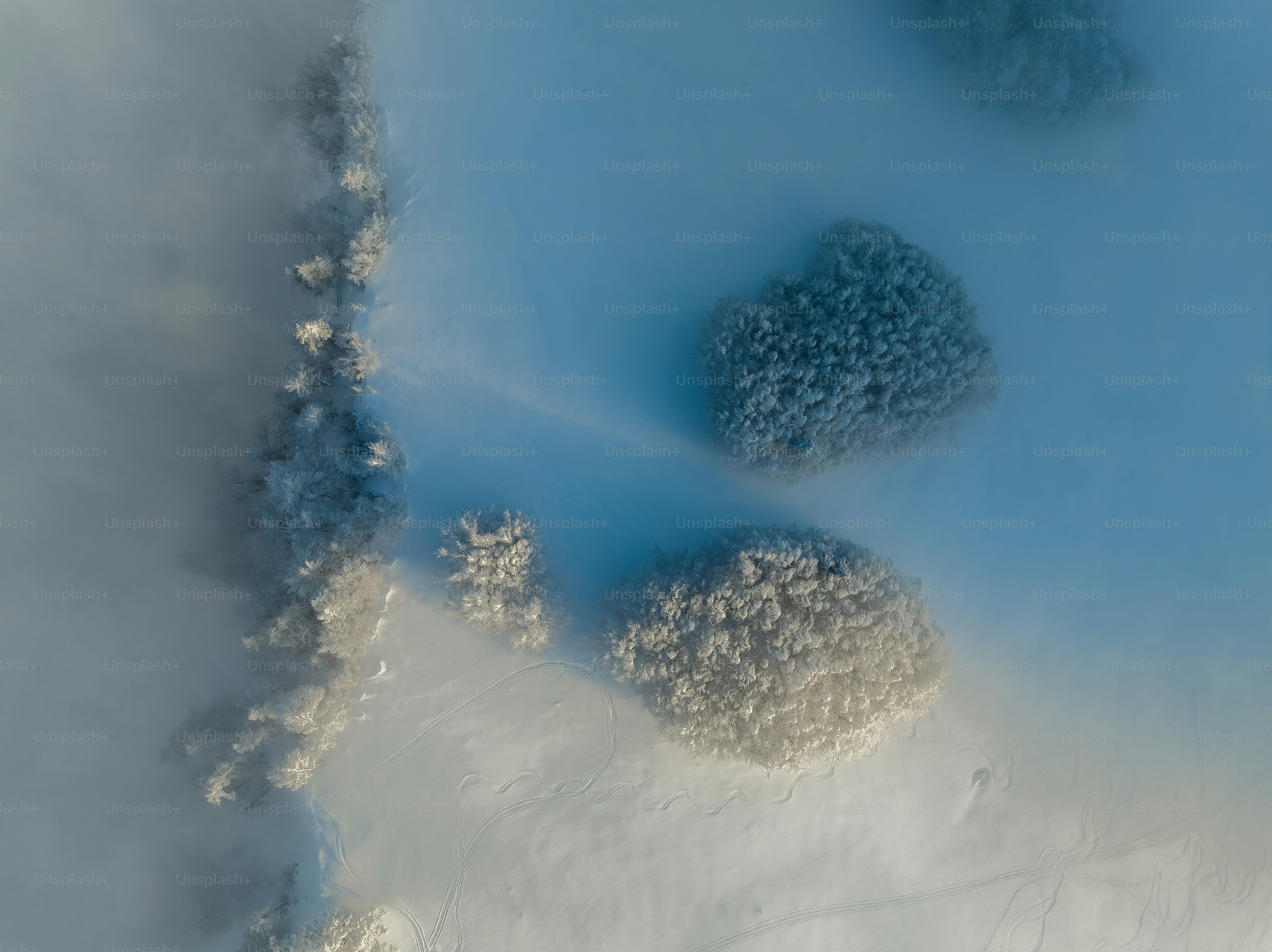 Winter fairytale in the mountains high above the fog.