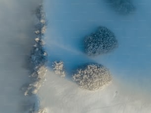 an aerial view of a snow covered forest