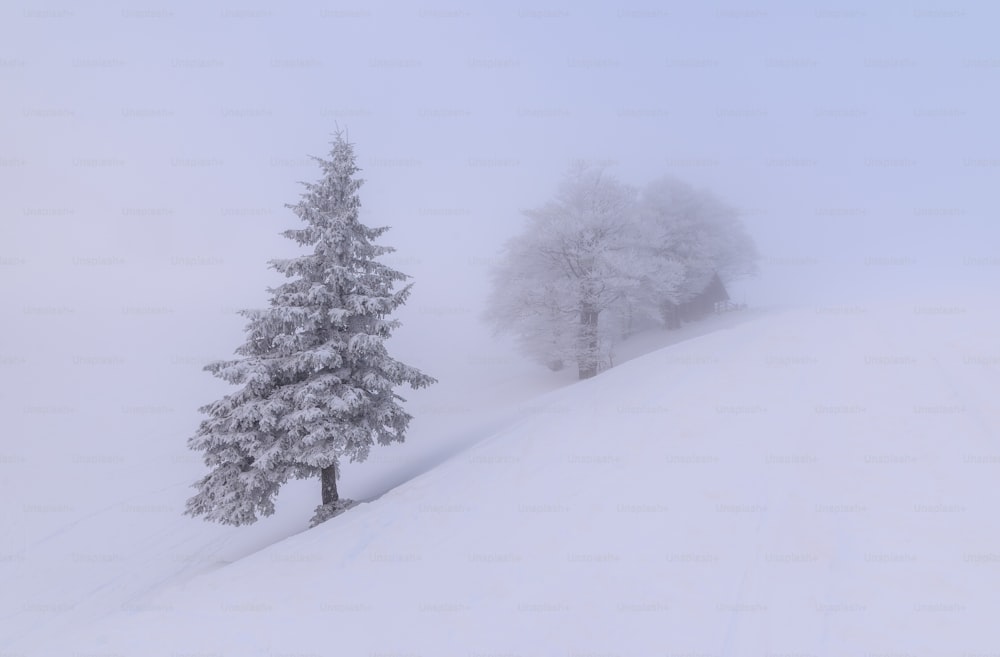 a snow covered hill with two trees on top of it