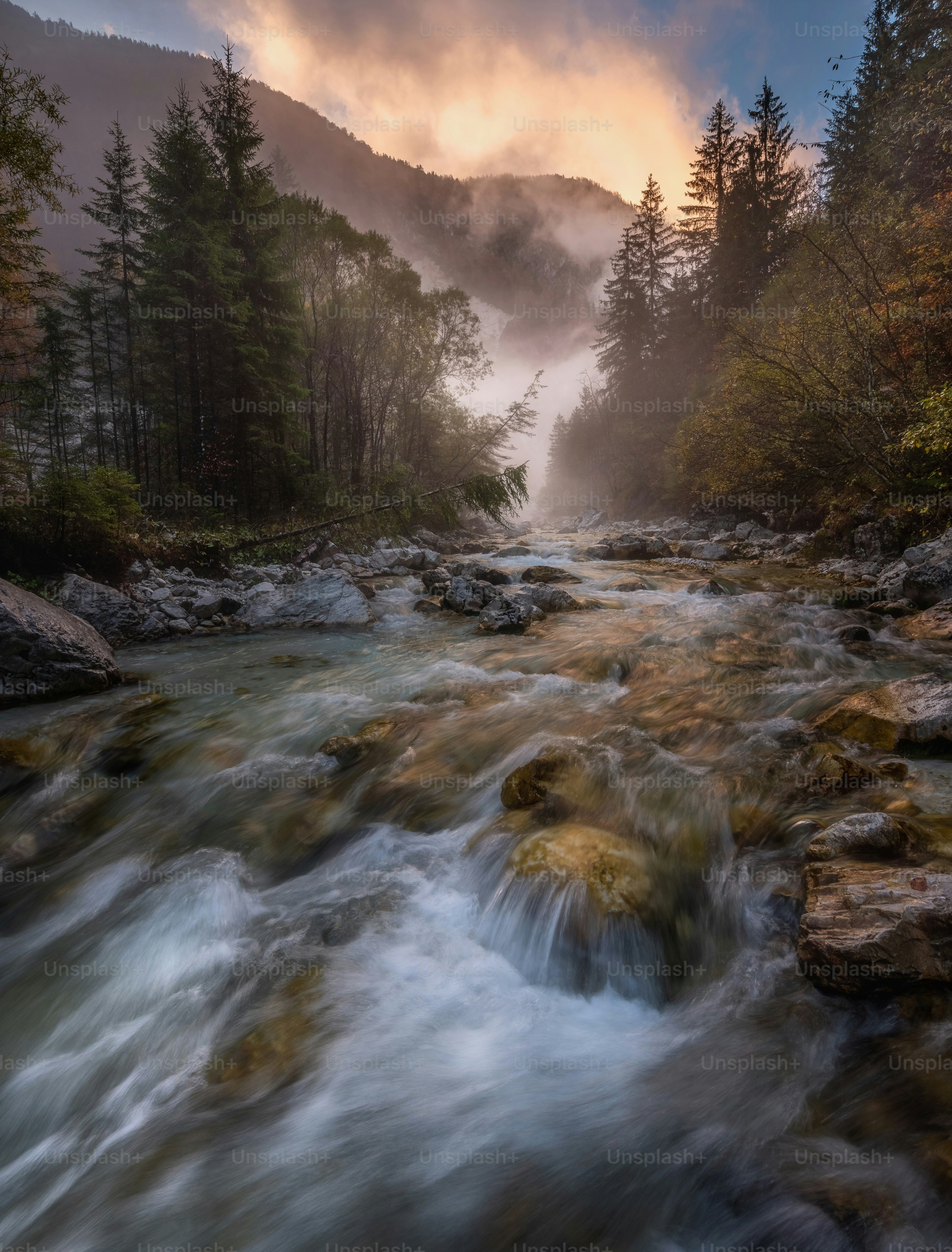 놀라운 배경화면 사진 | Unsplash에서 무료 이미지 다운로드, image size:3000x3943