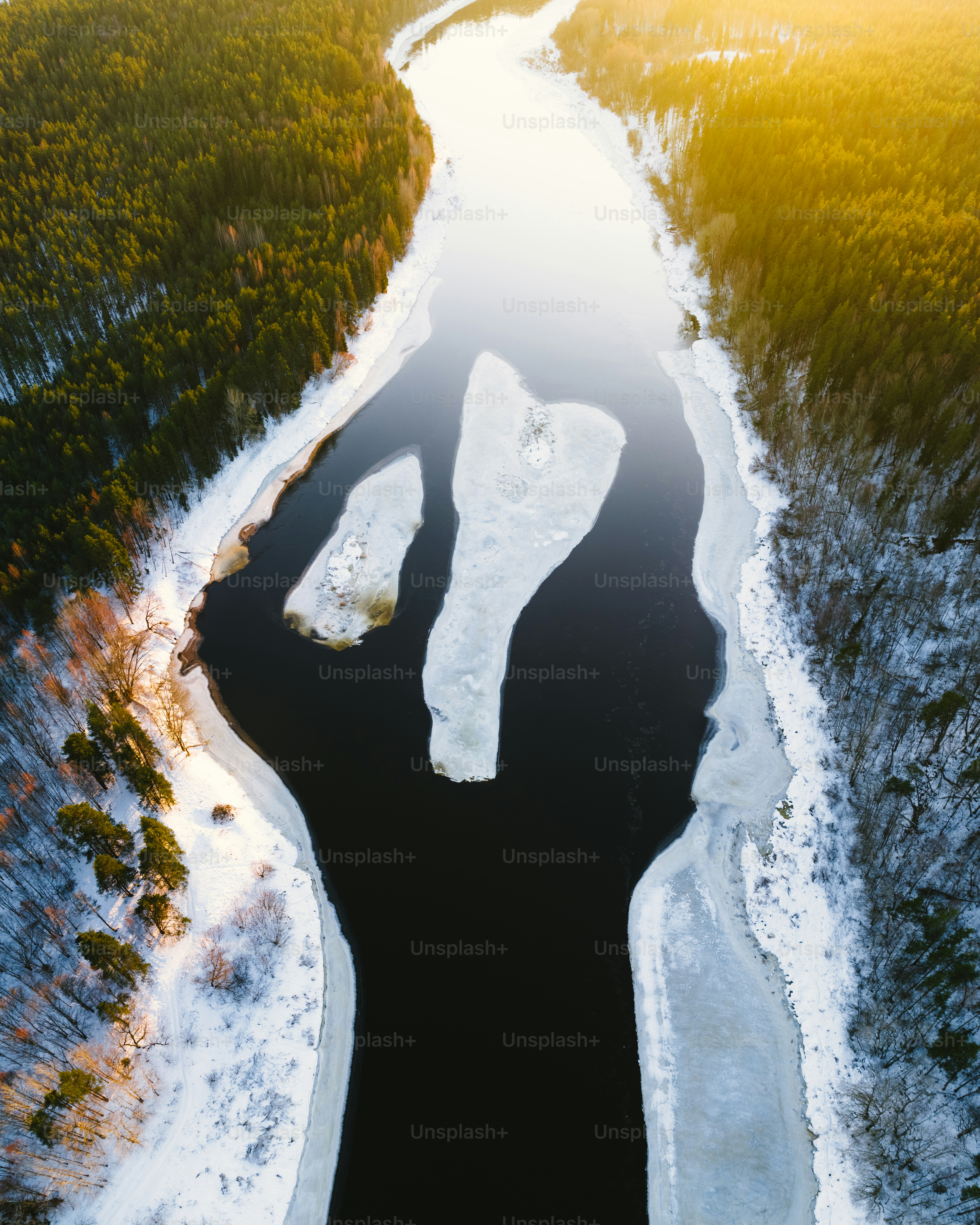 An aerial view of a river running through a forest photo – Cold Image ...