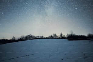 Un campo coperto di neve sotto un cielo notturno