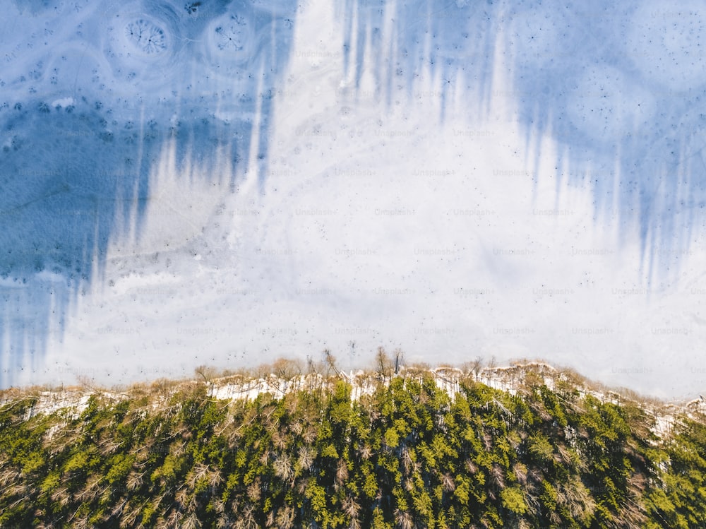 an aerial view of a tree covered hill