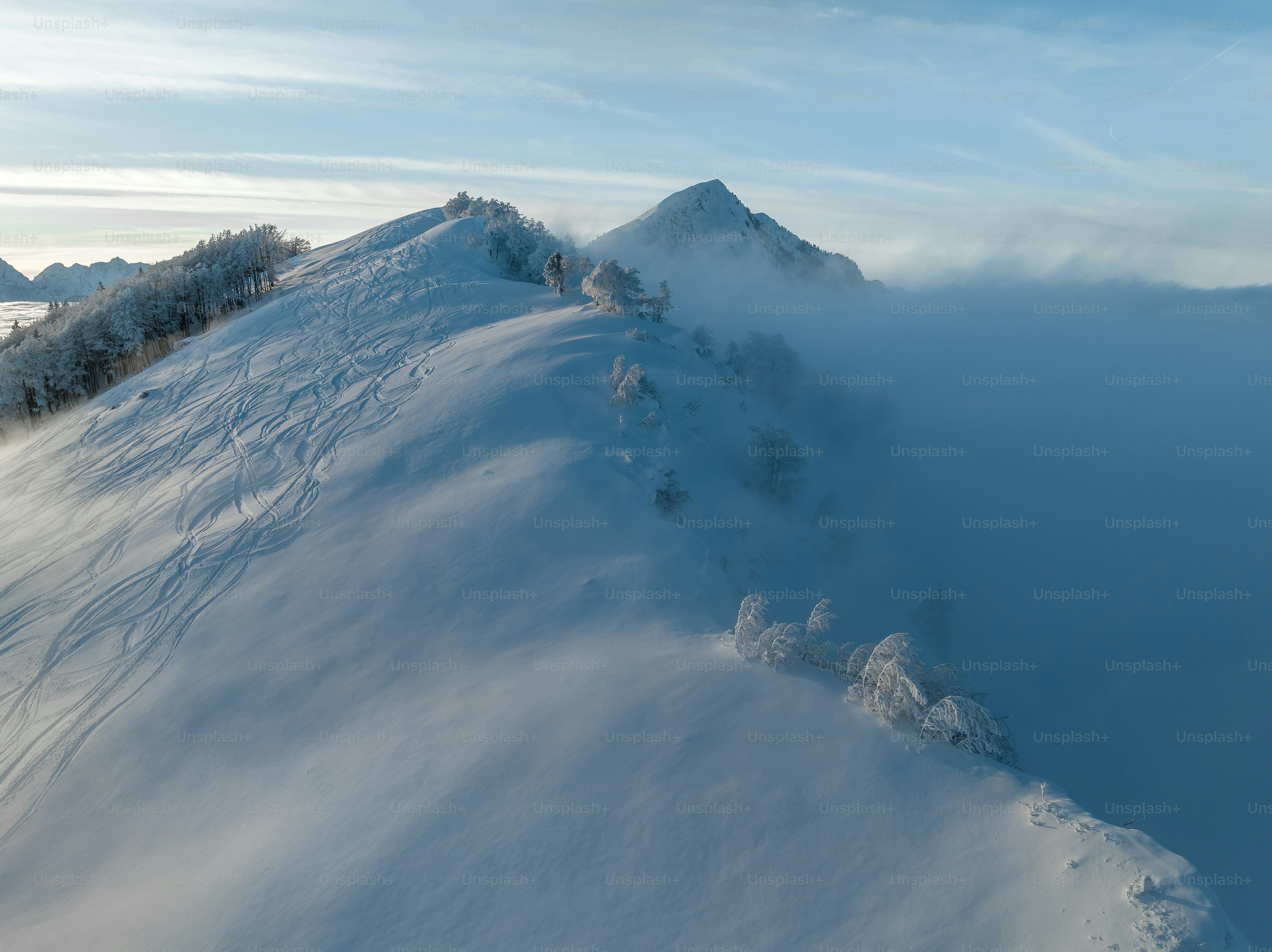 a mountain covered in snow with trees on top of it