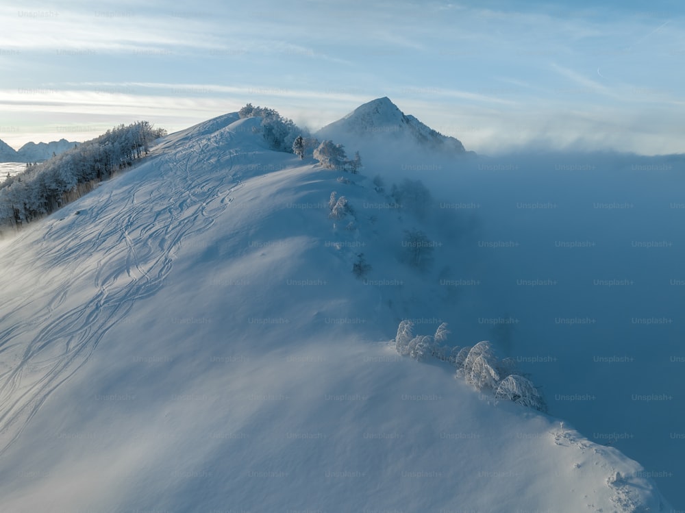 uma montanha coberta de neve com árvores no topo dela