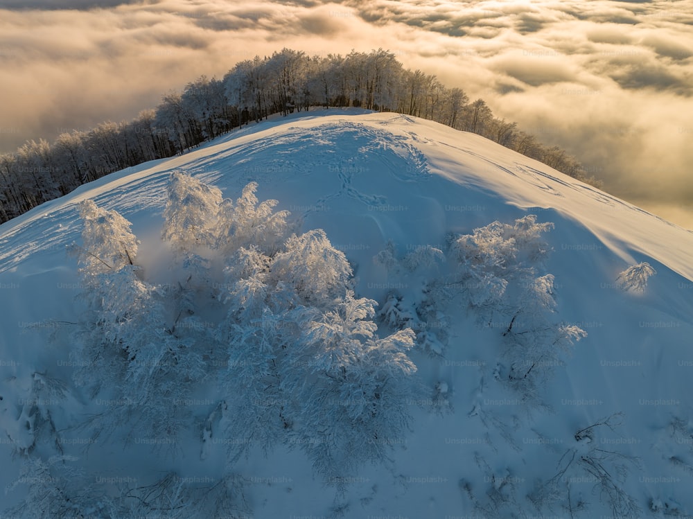 a snow covered hill with trees on top of it