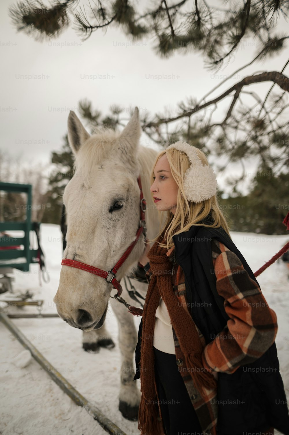 Eine Frau steht neben einem weißen Pferd