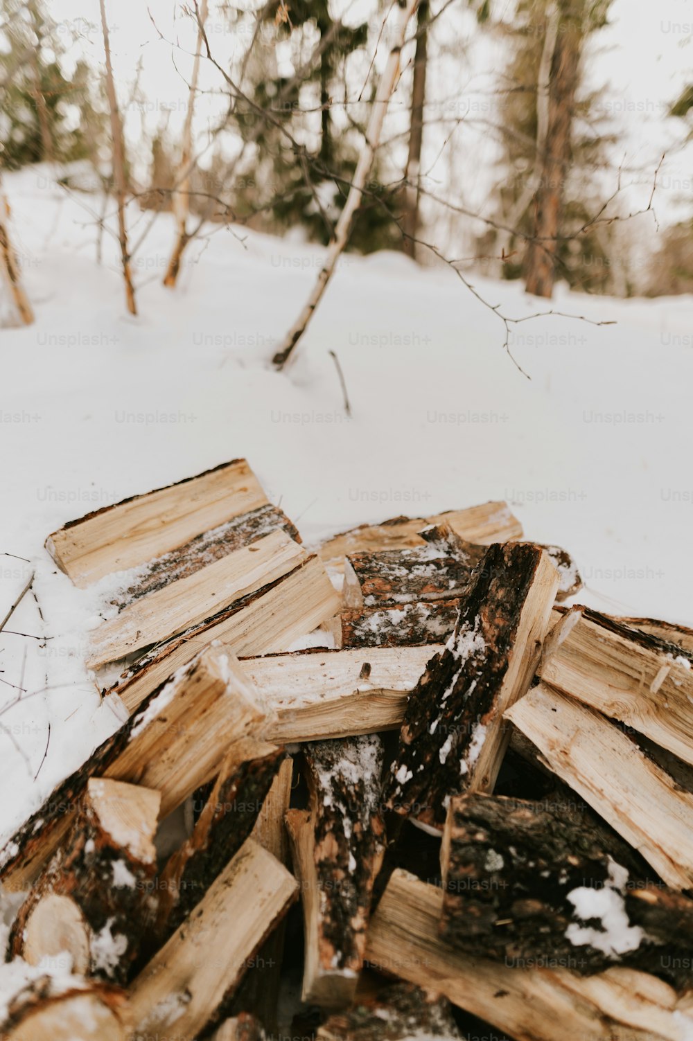 uma pilha de madeira sentada na neve
