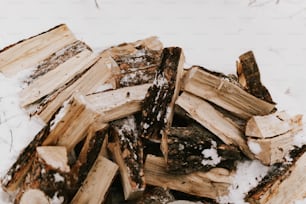 uma pilha de madeira sentada em cima do chão coberto de neve
