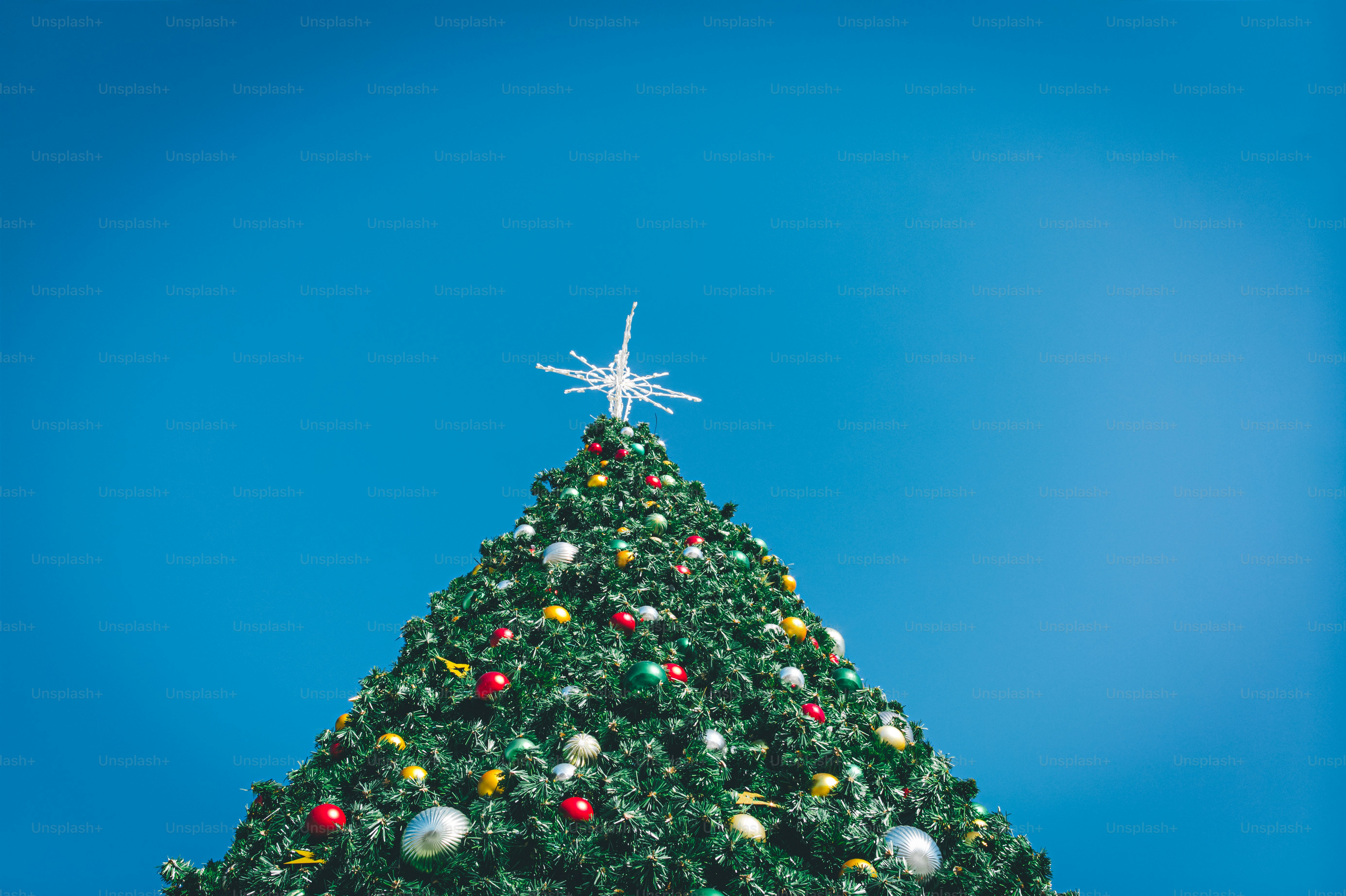 A large christmas tree with a star on top photo – Seasons greetings ...
