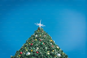 Ein großer Weihnachtsbaum mit einem Stern oben drauf