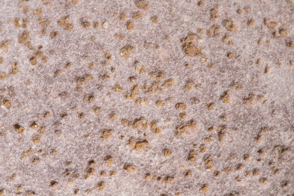 a close up of a rock with small holes in it