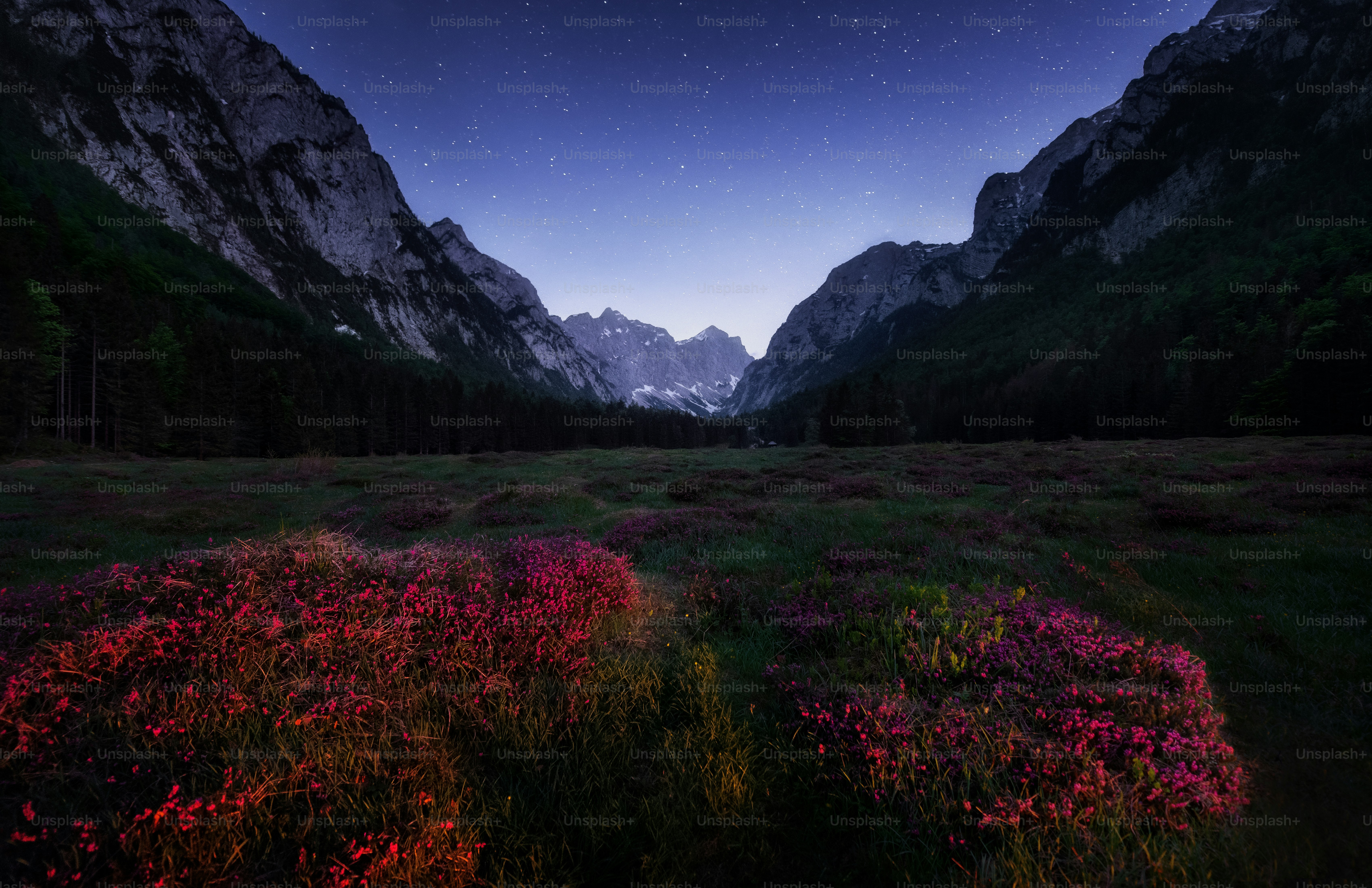 Imágenes de Hermosa Noche | Descarga imágenes gratuitas en Unsplash, image size:3000x1941