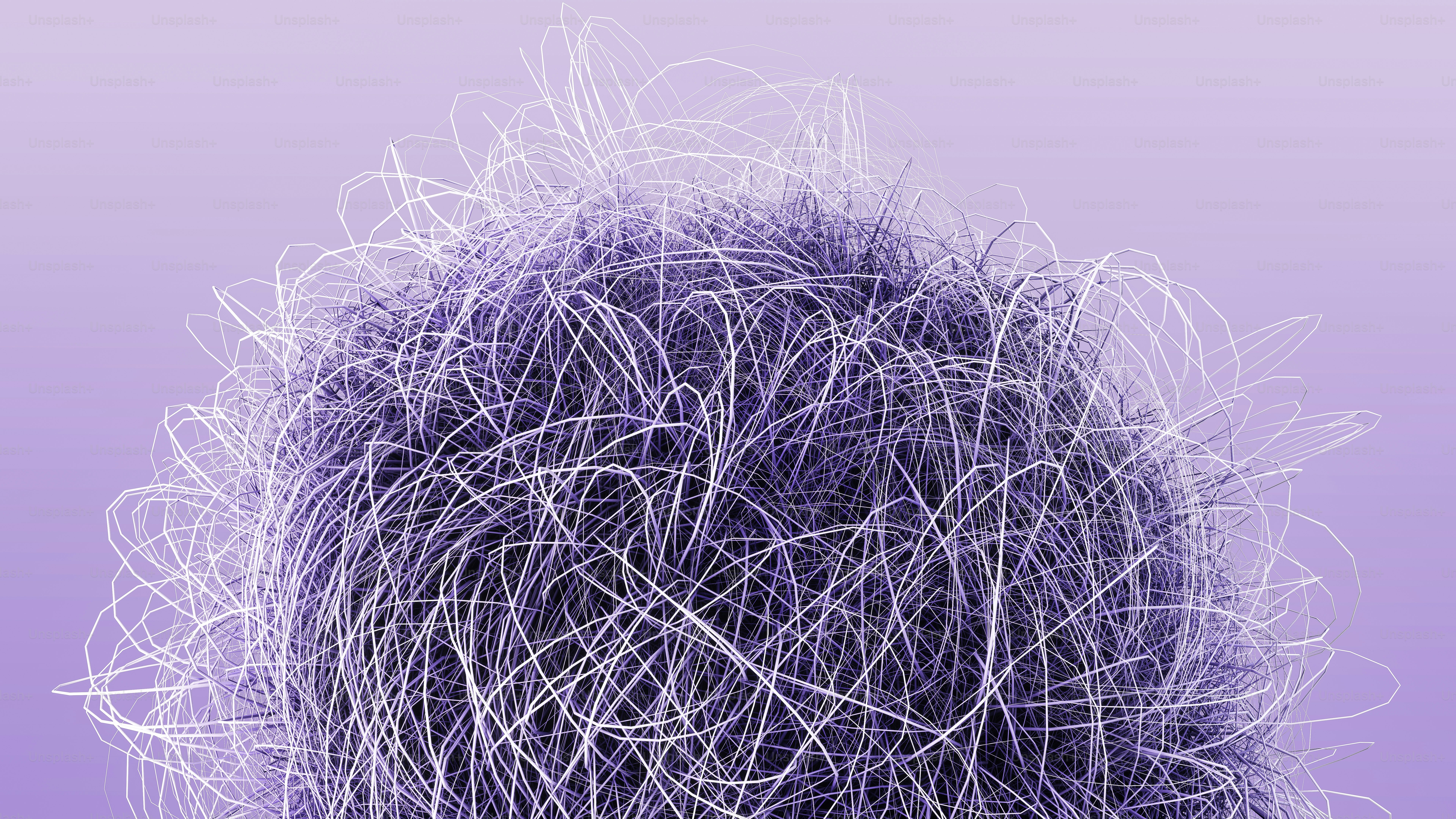 a close up of a person's hair with a purple background