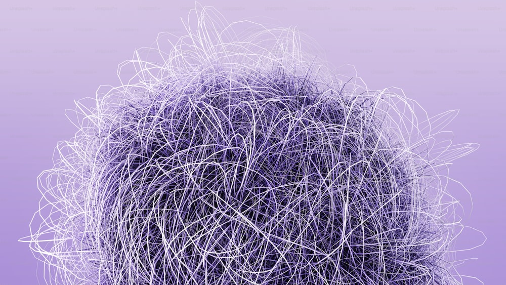 Un primer plano del cabello de una persona con un fondo púrpura