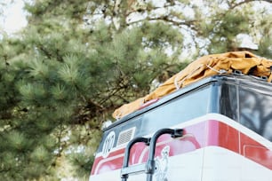 Un bus rouge et blanc garé devant un arbre