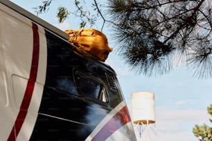 a white and black bus with a yellow hat on top of it