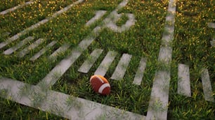 Ein Fußball liegt auf dem Boden im Gras