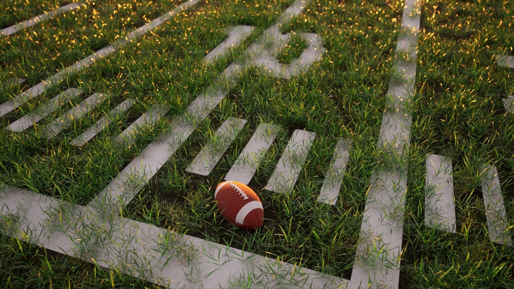 un pallone da calcio steso a terra nell'erba